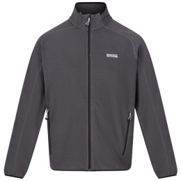 Pánska mikina Regatta Hadfield sivá Seal Grey