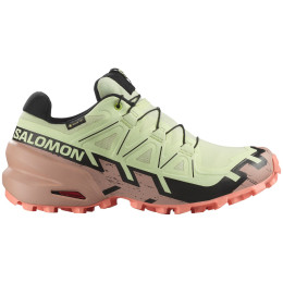 Dámske topánky Salomon Speedcross 6 Gore-Tex