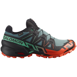 Pánske bežecké topánky Salomon Speedcross 6 Gore-Tex modrá/zelená North Atlantic / Black / Cherry Tomato