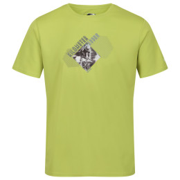 Pánske tričko Regatta Fingal Slogan II zelená