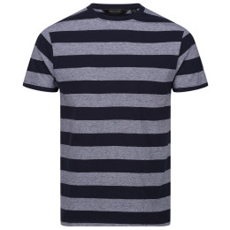 Pánske tričko Regatta Ryeden šedá