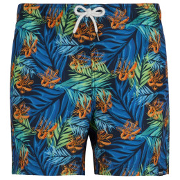 Pánske plavky Regatta Loras Swim Short