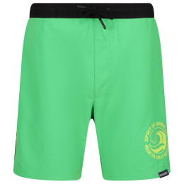 Pánske plavky Regatta Bentham swim short zelená Fairway Green/Black