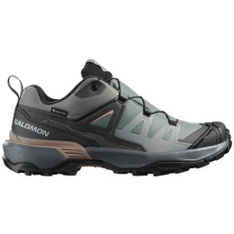 Dámske topánky Salomon X Ultra 360 Gore-Tex