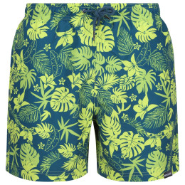 Pánske kraťasy Regatta Loras Swim Short m