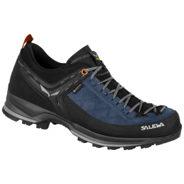 Pánske topánky Salewa Ms Mtn Trainer 2 Gtx