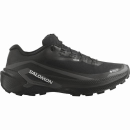 Pánske bežecké topánky Salomon Genesis 2 GTX