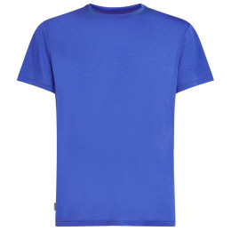 Pánske funkčné tričko Icebreaker Men Merino Core SS Tee