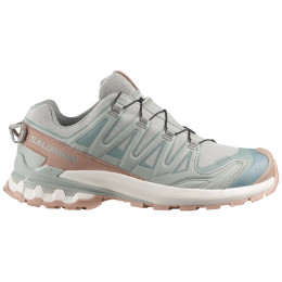 Dámske topánky Salomon Xa Pro 3D V9 Gore-Tex Lifelong