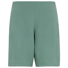 Dámske kraťasy Regatta Women’s Pentre Lite Shorts svetlomodrá Ivy Moss