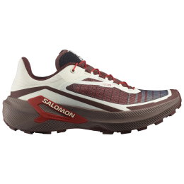 Pánske bežecké topánky Salomon Genesis 2