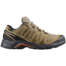 Pánske turistické topánky Salomon X-Adventure Recon Gore Tex