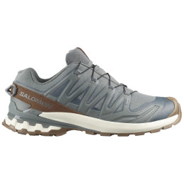 Pánske topánky Salomon Xa Pro 3D V9 Gore-Tex Lifelong