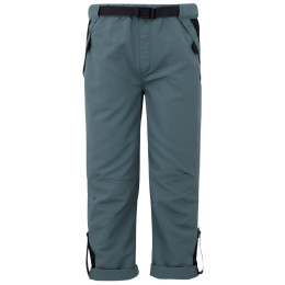Detské nohavice Regatta Sorcer Mountain Trousers VII sivá StormyWeathr