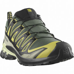 Pánske turistické topánky Salomon Xa Pro 3D V9 Gore-Tex