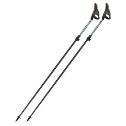 Nordic Walking palice Fizan Tekno Race Impulse sivá Grey