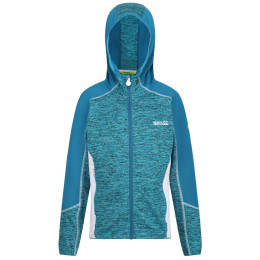 Detská mikina Regatta Dissolver III