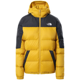 Dámska bunda The North Face Diablo Down Hoodie