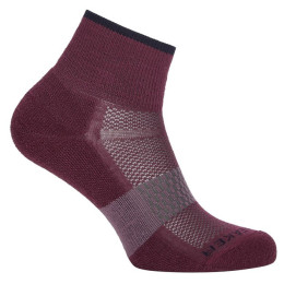 Dámske ponožky Icebreaker Women Multisport Light Mini