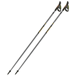Nordic Walking palice Fizan NW Runner Gold