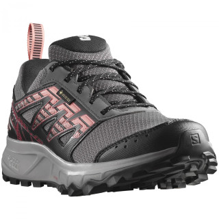 Salomon Wander Gore-Tex