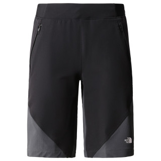 Dámske kraťasy The North Face Stolemberg Alpine Slim Straight Short čierna TNF BLACK/ASPHALT GREY