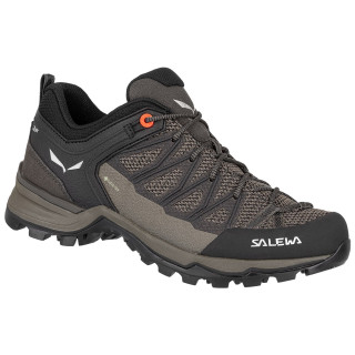 Dámske topánky Salewa Ws Mtn Trainer Lite Gtx