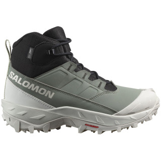 Dámske topánky Salomon Crosstrak Waterproof zelená Agave Green / Black / Canary Green