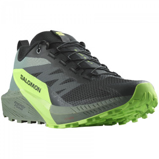 Salomon Sense Ride 5