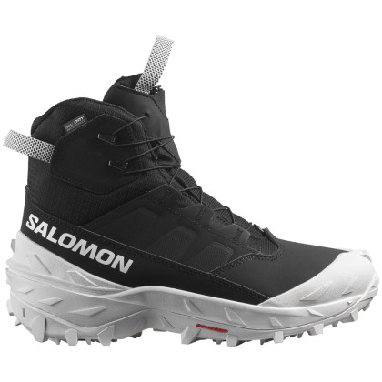 Pánske zimné topánky Salomon Crosstrak Powder Waterproof čierna/biela Black / Black / White