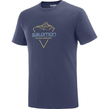 Pánske tričko Salomon Blend Logo Tee