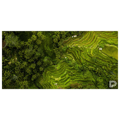 Rýchloschnúci osuška Towee Rice Fields 80x160 cm  