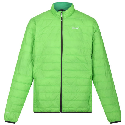 Pánska bunda Regatta Hillpack zelená Jasmine Green (Field Green)