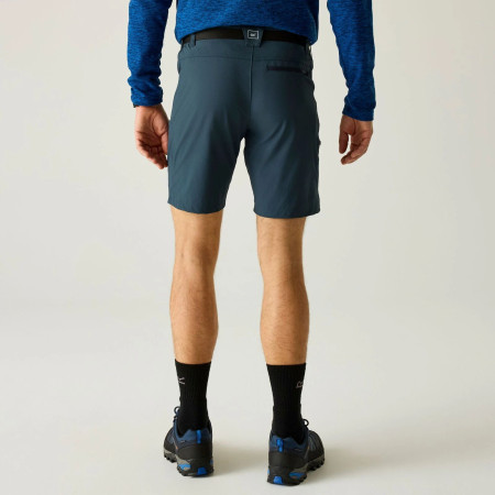 Pánske kraťasy Regatta Xert Stretch Shorts