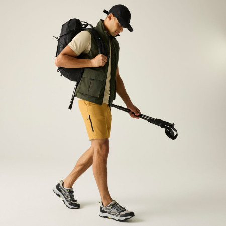 Pánska vesta Regatta Anti-Insect Travel Light B/W