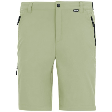 Pánske nohavice Regatta Anti-Insect Travel Light Z/O Trousers