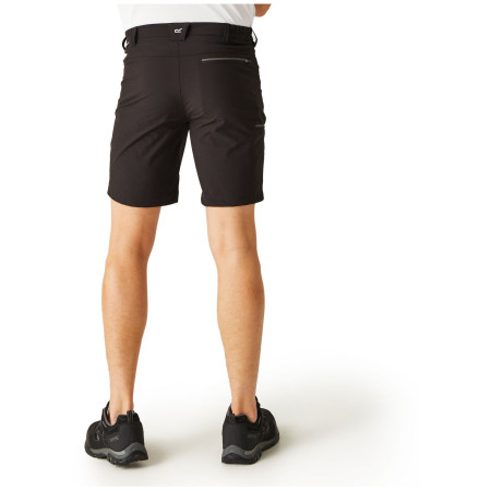 Pánske kraťasy Regatta Xert Stretch Shorts III