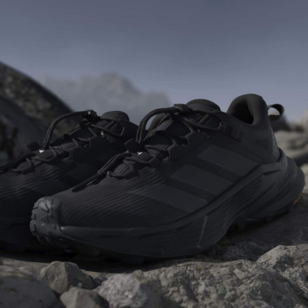 Pánske topánky Adidas Terrex Freehiker Sl