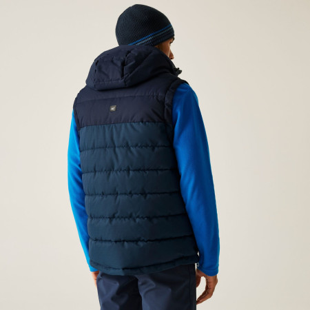 Pánska vesta Regatta Aldthorn B/W