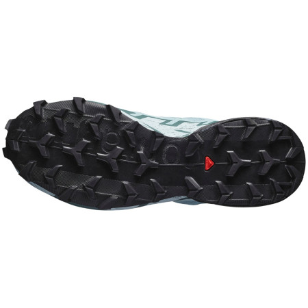 Dámske topánky Salomon Speedcross 6 Gore-Tex