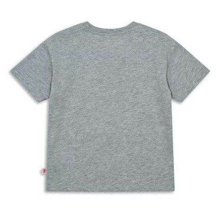 Detské tričko Lego Wear Lwtaj 217 Grey