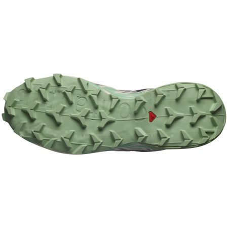 Dámske bežecké topánky Salomon Speedcross 6