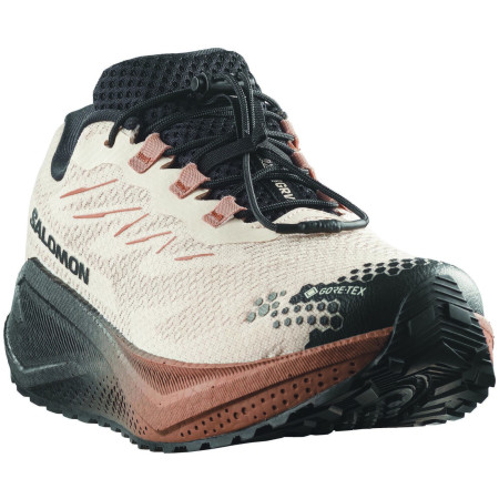 Pánske topánky Salomon Aero Blaze 4 Grvl Gtx