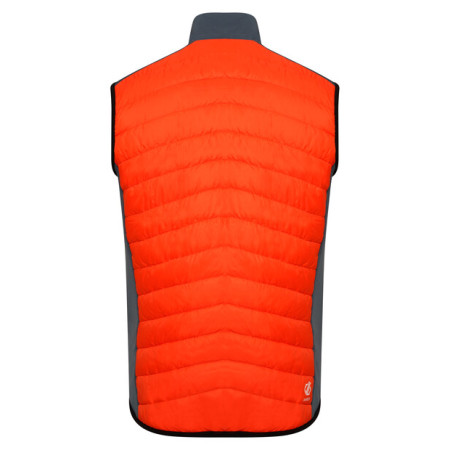 Pánska vesta Dare 2b MountaineerIIVest