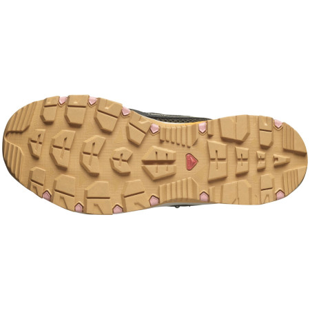 Dámske topánky Salomon Techamphibian 5