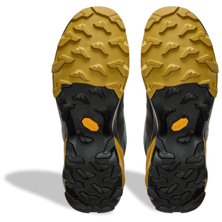 Pánske trekové topánky Dynafit Transalper 2