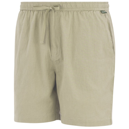 Pánske kraťasy Regatta Hadlin Shorts