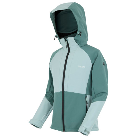 Dámska bunda Regatta Desoto