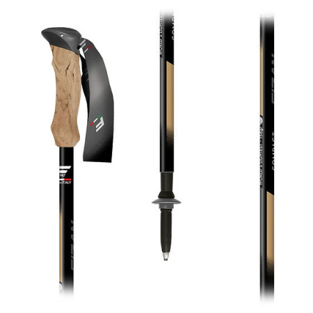 Trekové palice Fizan Compact Tech