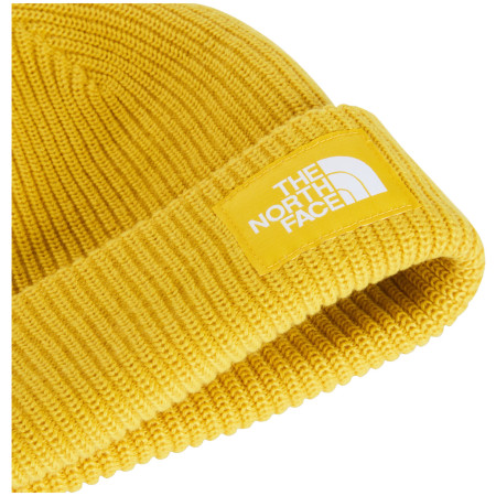 Čiapka The North Face Salty Lined Beanie